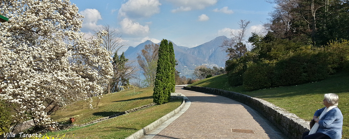 Stresa Reisebüro Lago Maggiore Villa Taranto Gärten